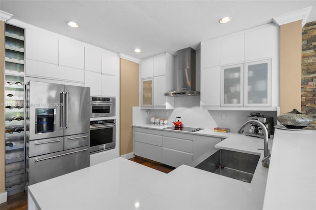 kitchen with glass insert cabinets, appliances with stainless steel finishes, modern cabinets, wall chimney exhaust hood, and a sink