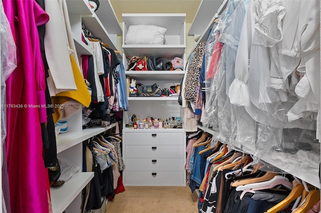 spacious closet with carpet floors