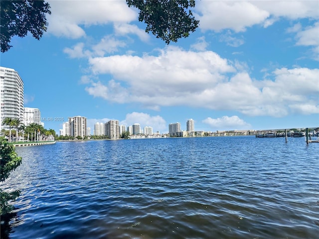 property view of water featuring a city view