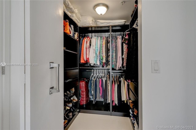 view of walk in closet