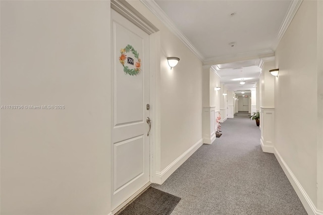 hall featuring a decorative wall, a wainscoted wall, carpet floors, and ornamental molding