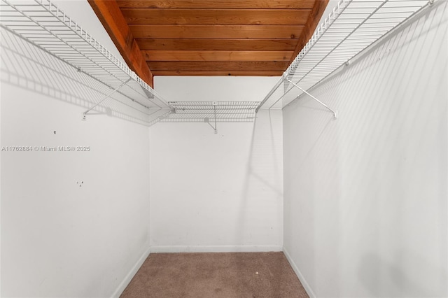 walk in closet with light colored carpet