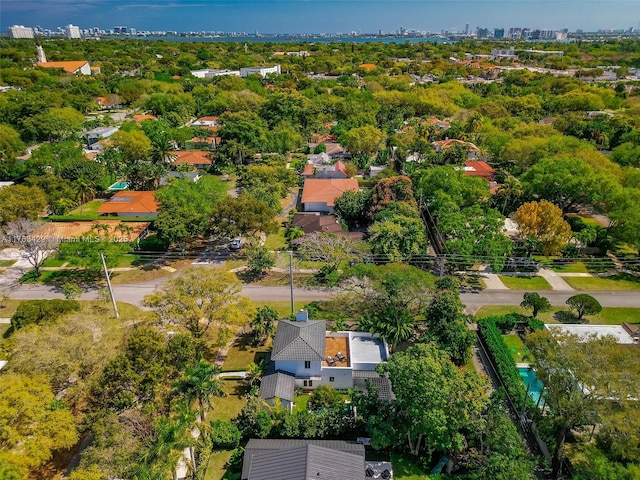 drone / aerial view