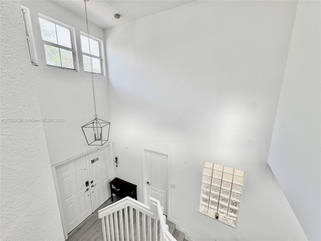 interior space featuring a high ceiling and wood finished floors