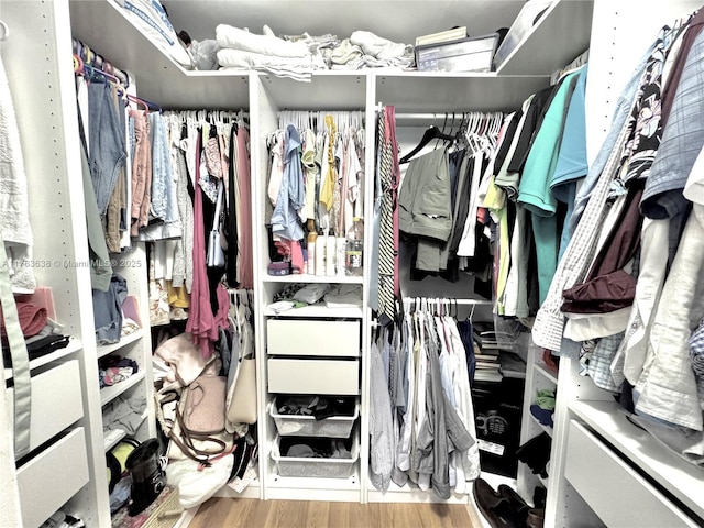 walk in closet featuring wood finished floors