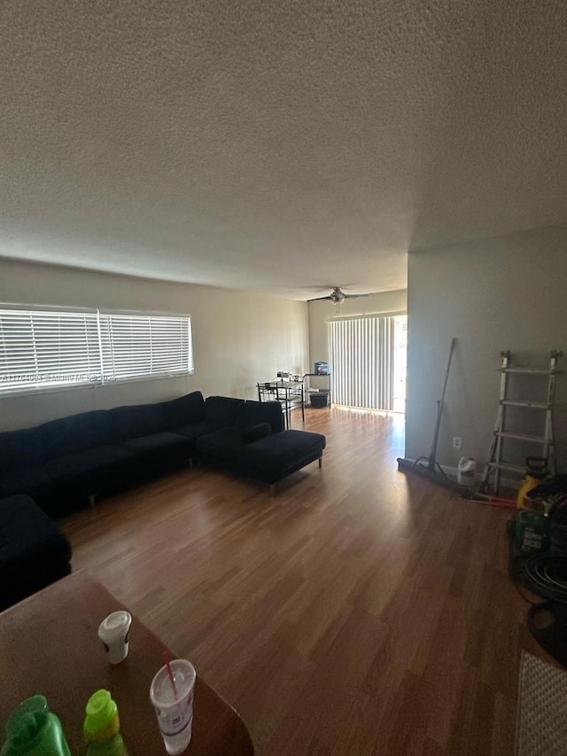 2101 NE 68th St Unit 204, Fort Lauderdale, FL 33308 - living area featuring a ceiling fan, wood finished floors, and a textured ceiling