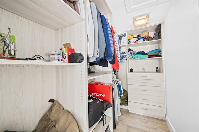 spacious closet featuring wood finished floors