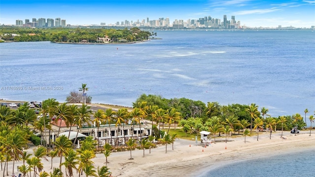 property view of water with a view of city