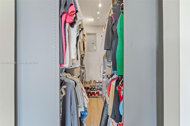 spacious closet featuring electric panel and wood finished floors