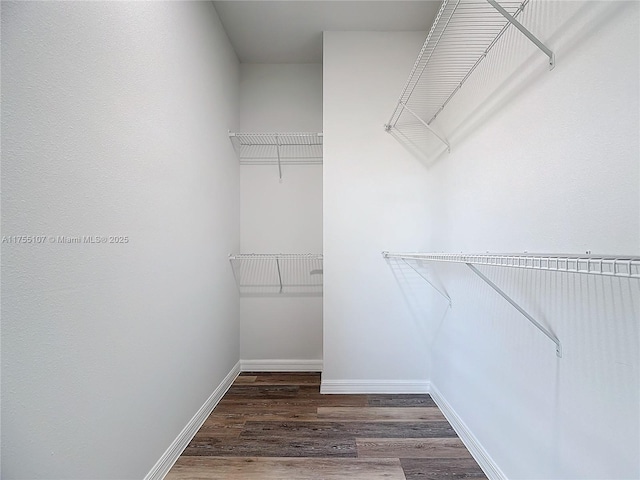 spacious closet with wood finished floors