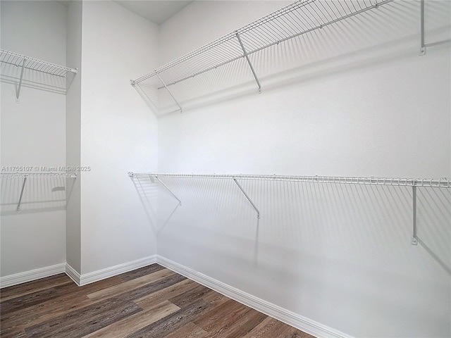 walk in closet featuring dark wood-type flooring