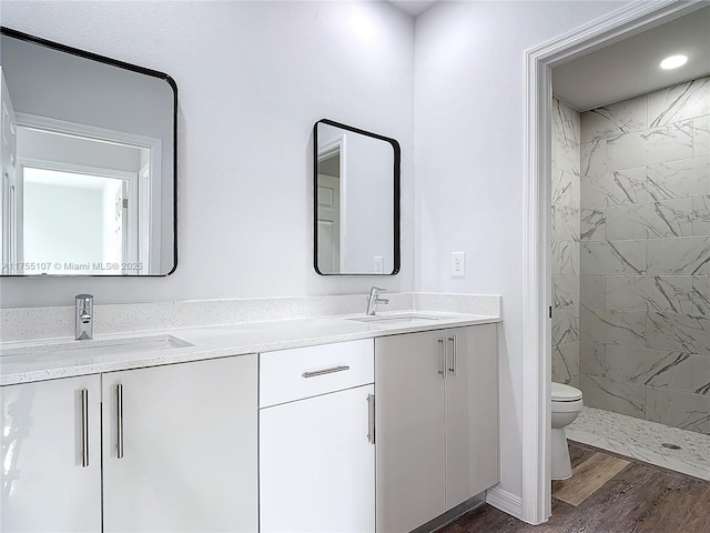 full bathroom featuring double vanity, toilet, wood finished floors, and a sink