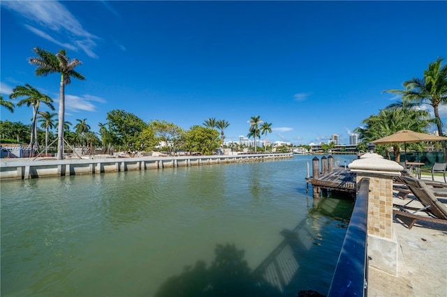 dock area with a water view