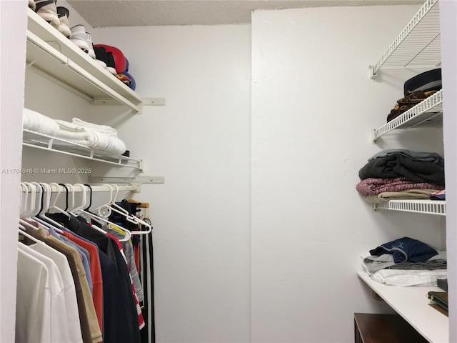 view of spacious closet