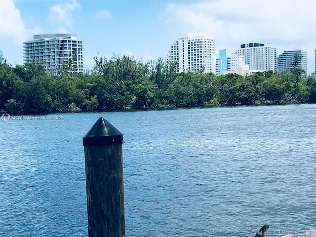 view of water feature featuring a city view