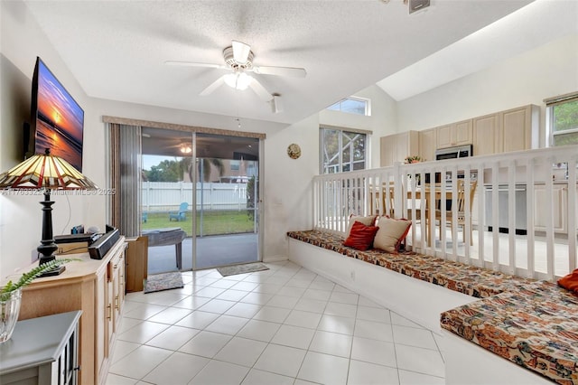 interior space with lofted ceiling, plenty of natural light, and a ceiling fan