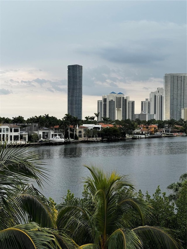 property view of water with a city view