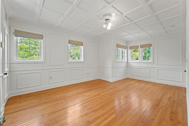 spare room featuring a wealth of natural light, light wood-type flooring, and a decorative wall