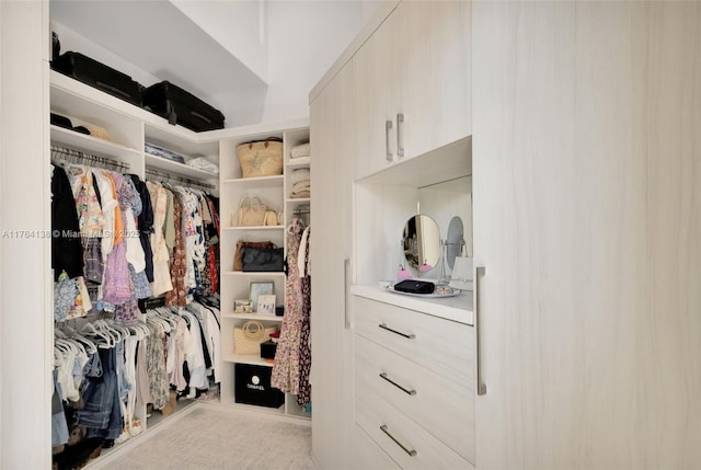 view of spacious closet