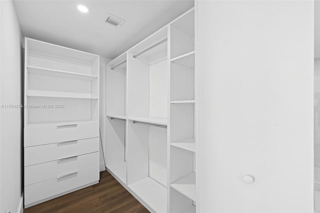 walk in closet featuring dark wood finished floors and visible vents