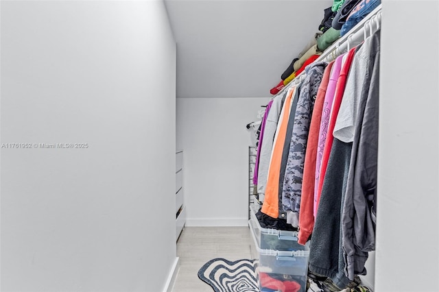 view of spacious closet