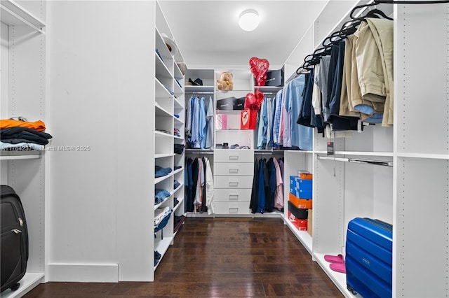 spacious closet with wood finished floors