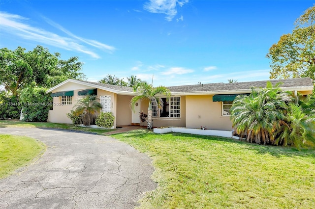 ranch-style home with stucco siding, curved driveway, and a front yard