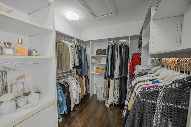 spacious closet with attic access and wood finished floors