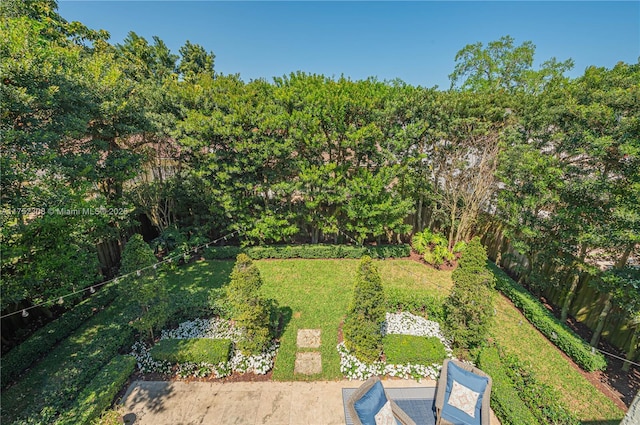 view of yard featuring a fenced backyard