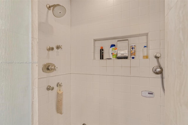 room details with tiled shower