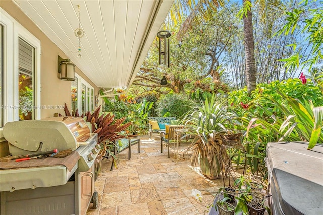 view of patio / terrace with grilling area and an outdoor hangout area