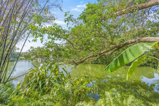 property view of water