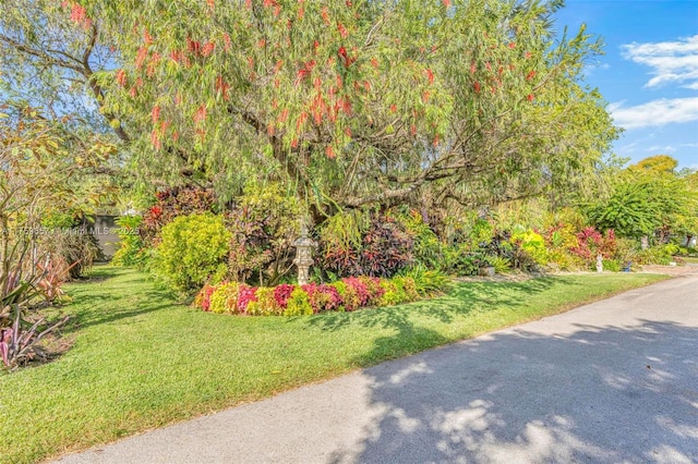 exterior space featuring a lawn