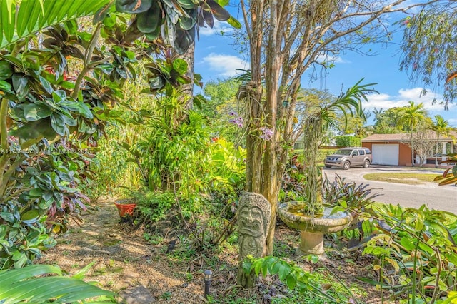 view of yard with a garage