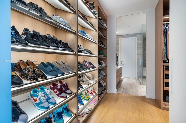 4701 N Meridian Ave Unit 603, Miami Beach, FL 33140 - spacious closet with wood finished floors