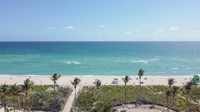 view of water feature featuring a view of the beach