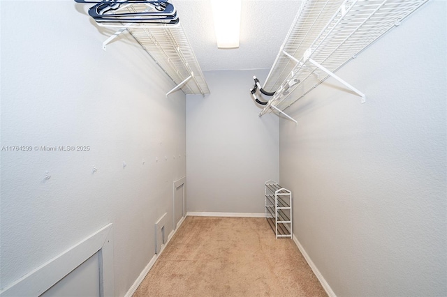 spacious closet with light colored carpet