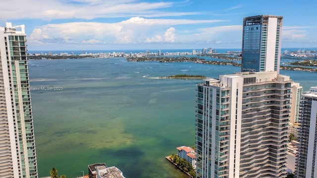 property view of water featuring a city view