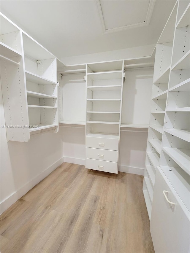 spacious closet with attic access and wood finished floors