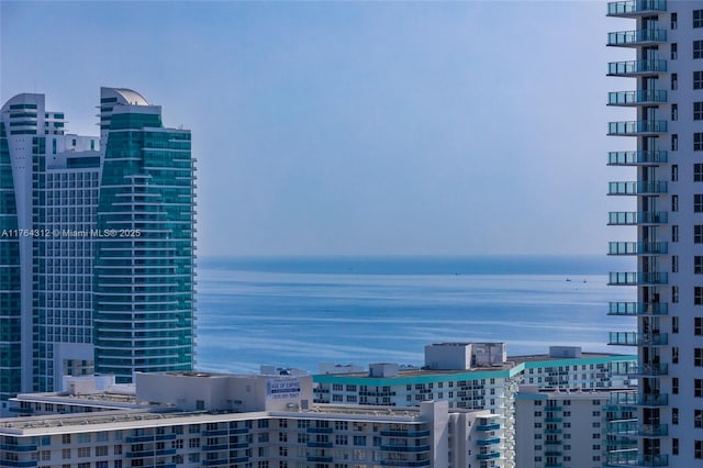 view of water feature featuring a city view