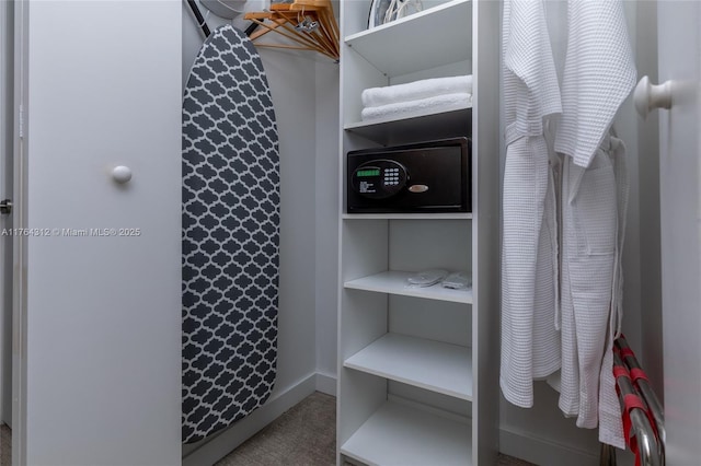 2602 E Hallandale Beach Blvd Unit R3004, Hallandale Beach, FL 33009 - spacious closet with carpet flooring