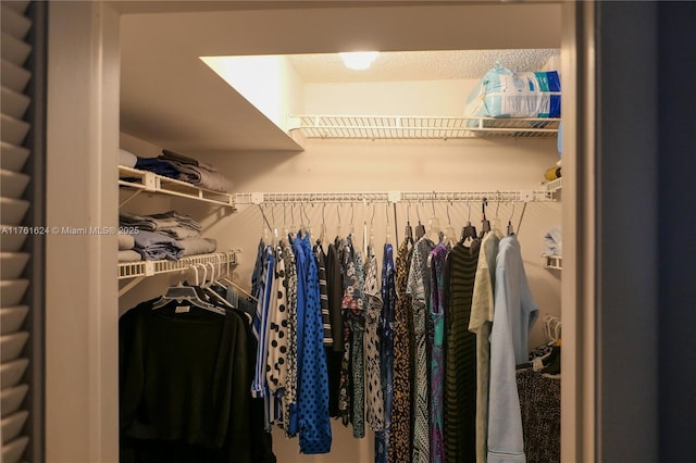 view of walk in closet