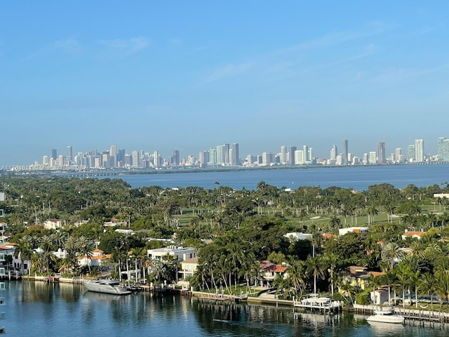 drone / aerial view featuring a city view and a water view