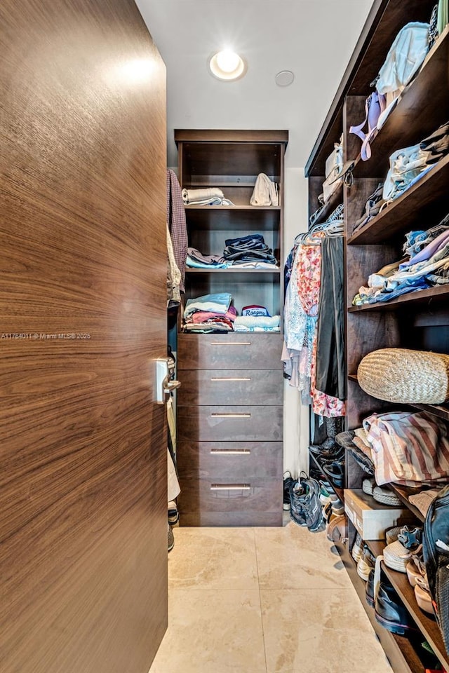 view of spacious closet