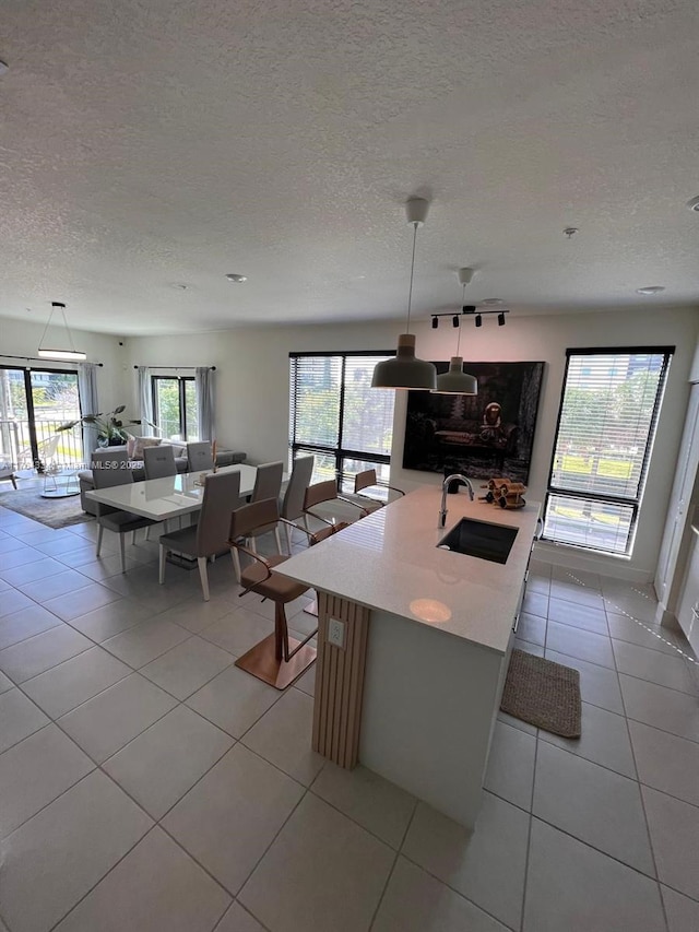 kitchen featuring light tile patterned floors, a healthy amount of sunlight, open floor plan, and a sink