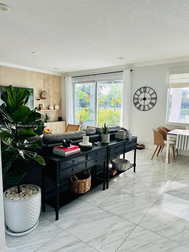 living room featuring a healthy amount of sunlight, a textured ceiling, and ornamental molding