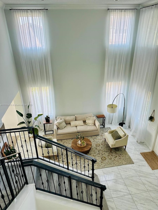 living area with crown molding, a high ceiling, and a wealth of natural light