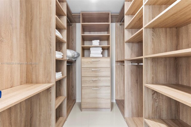 view of spacious closet