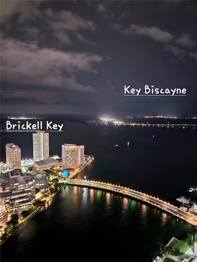 water view featuring a view of city lights