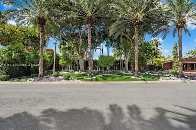 view of front of house with a front lawn